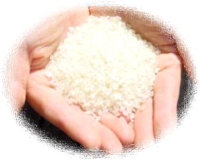 �ʐ^�񋟁F�A�l�b�g�u�G�R���āv